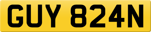 GUY824N