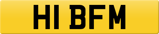 H1BFM