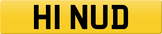 H1NUD