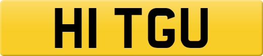 H1TGU