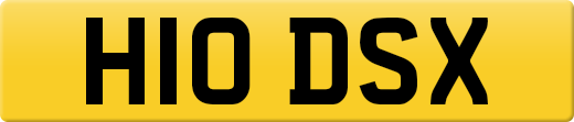H10DSX