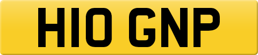 H10GNP