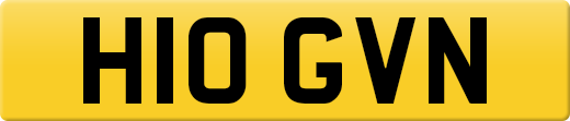 H10GVN