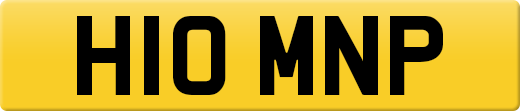 H10MNP