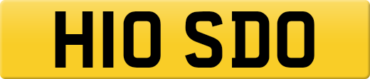H10SDO