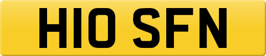 H10SFN