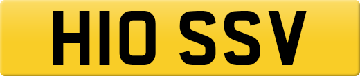 H10SSV