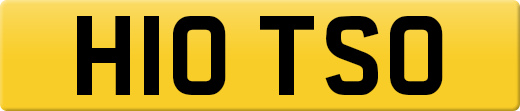 H10TSO