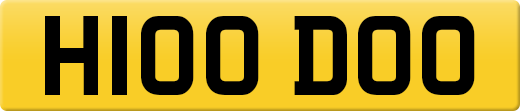 H100DOO