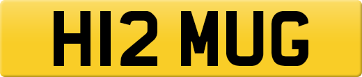 H12MUG