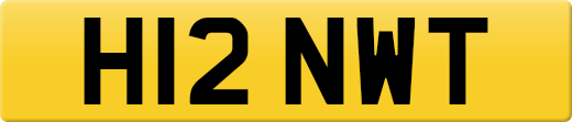 H12NWT
