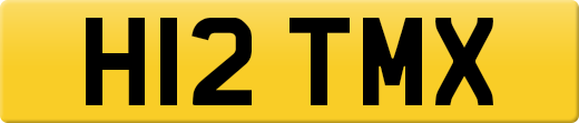 H12TMX