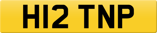 H12TNP