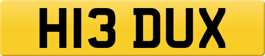 H13DUX