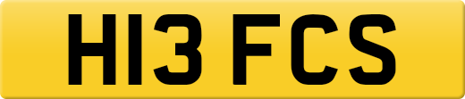 H13FCS