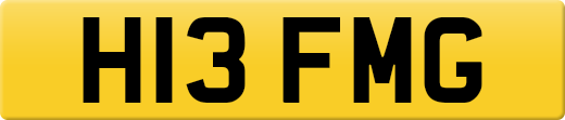 H13FMG