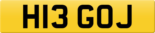 H13GOJ