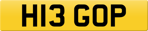 H13GOP