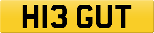 H13GUT