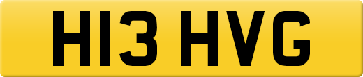 H13HVG