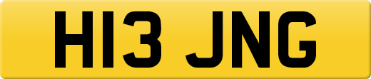 H13JNG