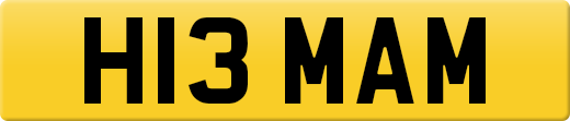 H13MAM