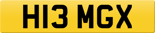 H13MGX