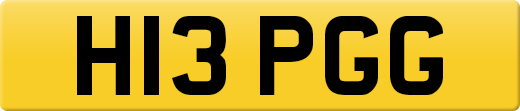 H13PGG