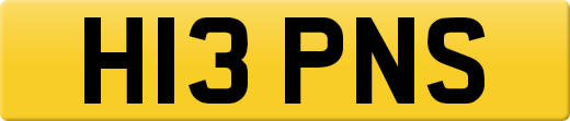 H13PNS