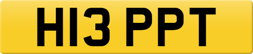 H13PPT