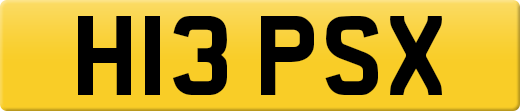 H13PSX