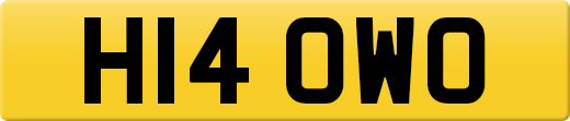 H14OWO