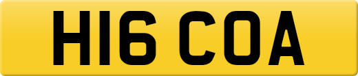 H16COA