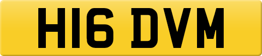 H16DVM