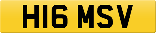 H16MSV