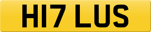 H17LUS