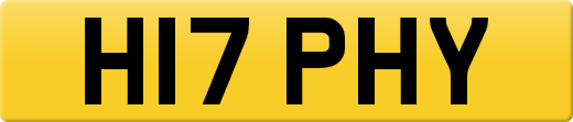 H17PHY