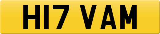 H17VAM