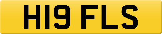 H19FLS