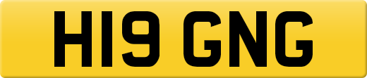 H19GNG