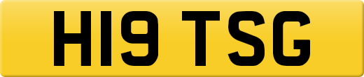 H19TSG