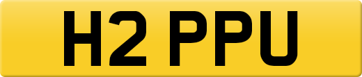 H2PPU