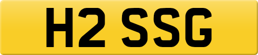 H2SSG