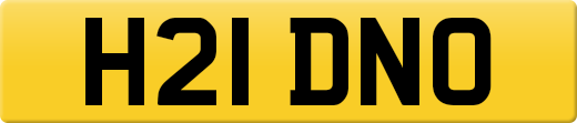 H21DNO