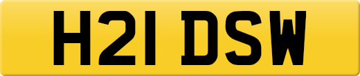 H21DSW