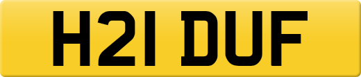 H21DUF