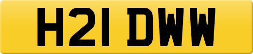 H21DWW