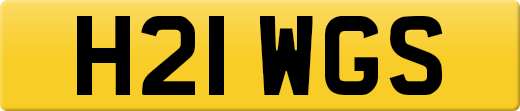 H21WGS
