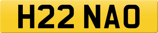 H22NAO