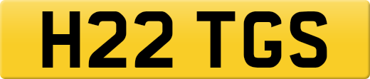 H22TGS